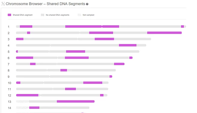 Het gebruik van een chromosomenbrowser voor genealogie